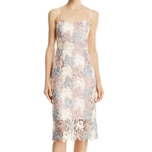 Lace Sheath Dress